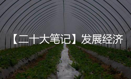 【二十大笔记】发展经济的着力点在哪里？