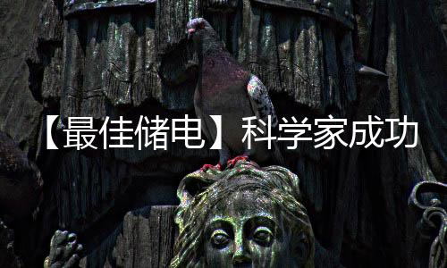 【最佳储电】科学家成功研制出木制电池