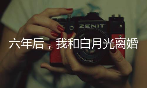 《预谋心动》全文在线阅读