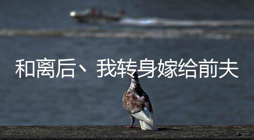 《宋檀记事》全文在线阅读