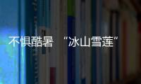 不惧酷暑 “冰山雪莲”中国女曲剑指亚洲杯