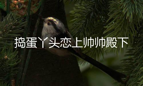 《疯批美人有小岛，年代大佬宠上心》全文在线阅读