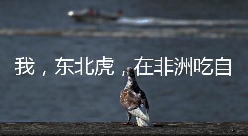 《婚色诱瘾》全文在线阅读