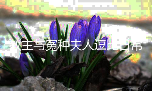 《我曝光前世惊炸全网》全文在线阅读