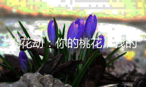 《京色欲坠》全文在线阅读