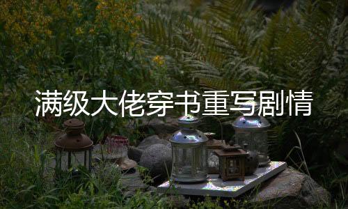 满级大佬穿书重写剧情