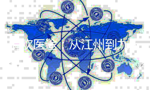 清欢医途：从江州到九天