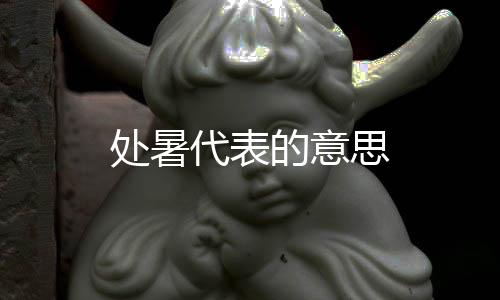 处暑代表的意思