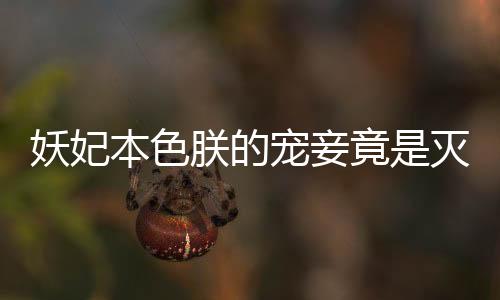 《重生年代大院娇媳美又飒》全文在线阅读