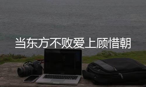 《恰似寒光遇骄阳》全文在线阅读