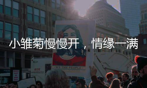 《全网黑后我在军旅综艺杀疯了》全文在线阅读