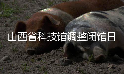 山西省科技馆调整闭馆日 “六一”照常免费开放