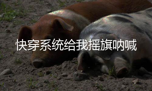 《惊！糙汉老公是年代文隐藏大佬》全文在线阅读