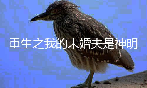 《电竞大神暗恋我》全文在线阅读