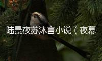 陆景夜苏沐言小说