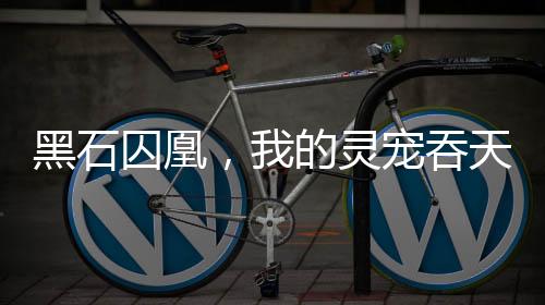 《七零：随军辣媳带飞大院暴富逆袭》全文在线阅读
